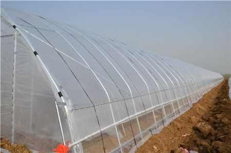 Cooling Fan Plastic Rolls Greenhouse Cooling System For Agricultural Equipment