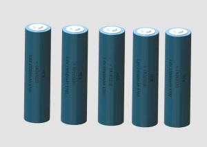 China High pulse High capacity High volatge Low price Primary Cell Battery For Temperature Detector GSM NB-IOT LORA factory