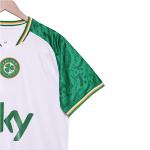 Ireland 2025-2026 away fan edition soccer jersey group customization