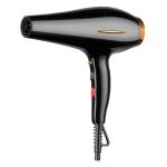 Ergonomic Handle Electric Hair Dryer with Noise Reduction Design and Large Metal