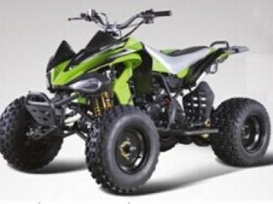China 250cc Water Cooled 4-Stroke Manual Clutch ATV/Quad factory