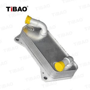 China 02E 409 061 B Automatic Transmission Oil Cooler For Audi A3 VW Beetle 02E409061B factory