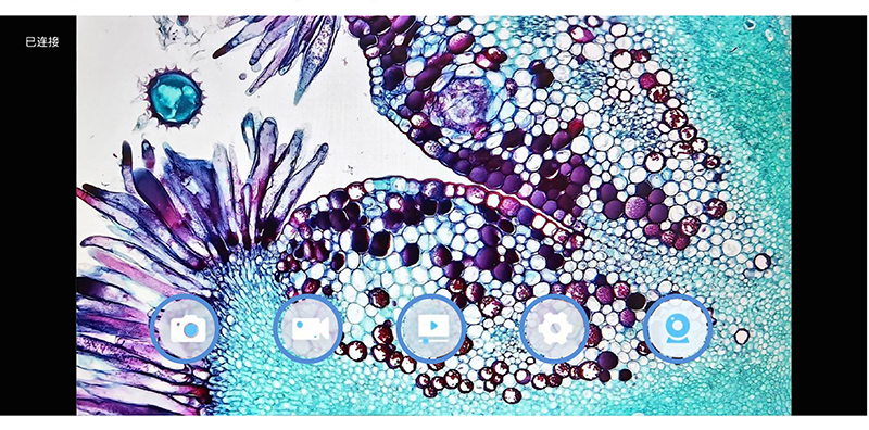 11.6" 8.0M Digital Microscope Camera with 4K 3840x2160 Resolution
