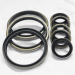 Oil Resistant Dkb Hydraulic Cylinder Dust Wiper Piston Rod Main Seal in Black