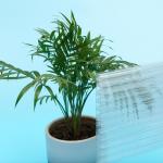 100% Virgin Bayer Polycarbonate Hollow Sheet For Construction