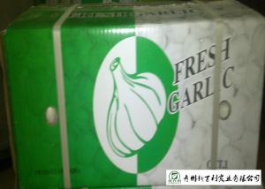 China HACCP / GAP Standard Chinese Garlic 4.5 / 5.0 Cm Size Own Plantation on sale