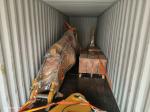 21Ton Heavy Duty Excavator Ripper Arm For SY550 SY500 200mm Main Board Excavator