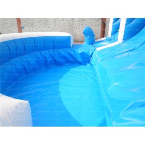 Shark Inflatable Water Slide (CYSL-37)