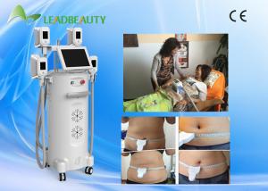 China Factory provide cryo slimming machine/cryolipolysis fat freezing machine price factory