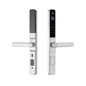 China Password Waterproof Digital Door Lock IP65 Keyless Entry Door Lock With Camera factory
