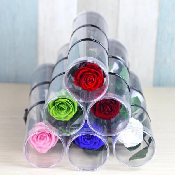 Christmas New Year Gifts Single Rose Preserved Rose Flower Stem Box in PVC