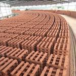 Circular Automatic Brick Kiln 100000 To 200000 Bricks Per Day