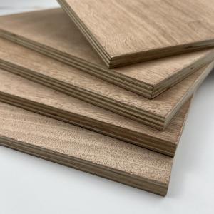 China Mildewproof Poplar Hardwood Veneer Plywood Harmless Practical factory