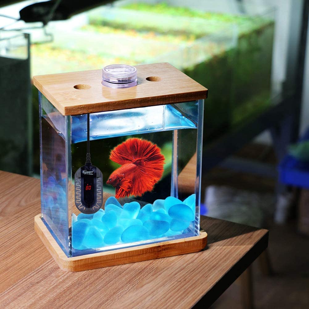 Electric 13 Gallon Fish Tank Heaters For Small Tanks