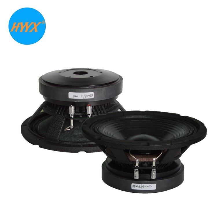 300W RMS 8 Inch Midbass Speaker