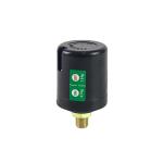 ZPS-2C-2.0 45PSI Auto Press Switch 1/4" Male Thread For Pump
