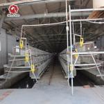 Q235 Hot Galvanized Automatic Day Old Chicks Cage For Poultry Farm