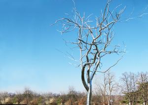 China Stainless Steel Tree Sculpture Withered , Outdoor Metal Tree Sculpture Garden factory