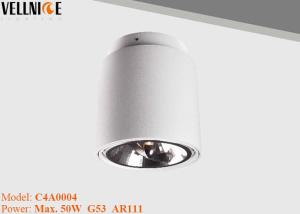 China AR111 Surface Mount LED Lights , ceiling recessed cob led downlight housing business factory