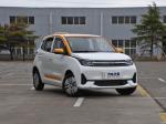AC Motor Electric Mini Car Maintenance Free Lead Acid Battery