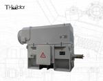 Industrial Continuous S1 Operation Squirrel Cage Motor IP55 0.89 Power Factor