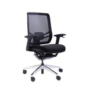 China Revolving Online Office Chair For Back Pain Ergo Curve All Mesh factory