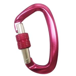 China Galvanized Hardware Aerospace Aluminum D-Shaped Carabiner Essential Gear for Climbing factory