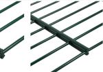 Galvanized Bilateral Green Vinyl Coated Wire Garden Fence Ral 6005