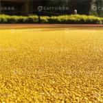 1-3mm Non-Toxic EPDM Rubber Granules for Playgrounds in Kindergartens Parks &