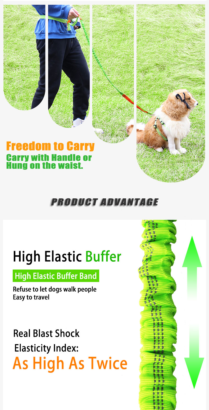 Long Rope Nylon Webbing Reflective Safty Belt Pet Dog Leash