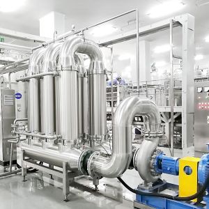 SUS304 Industrial Fruit Processing Equipment Automatic Carrot Juice Extractor