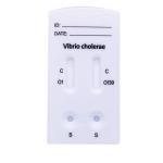 Vibrio cholerae O1/O139 Rapid Test (Feces) With CE