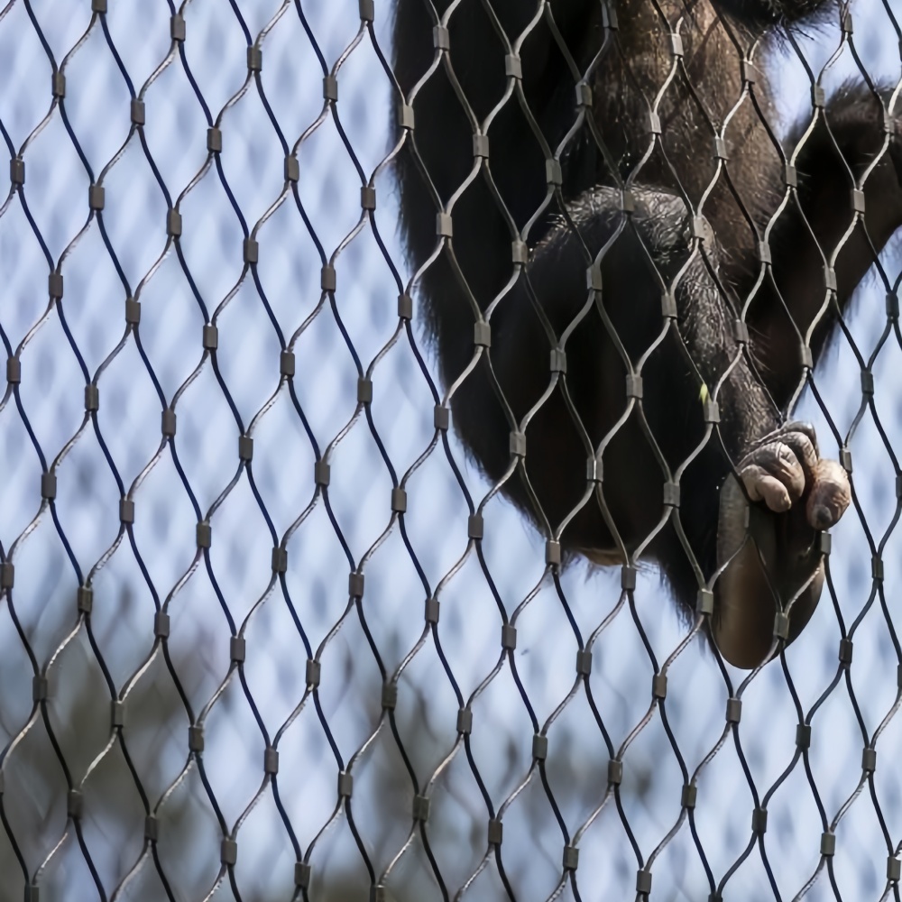 China 2.5 Meters Height Stainless Steel Wire Rope Mesh Fencing For Zoo Exterior Enclosure factory