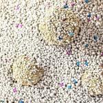 OEM Bentonite Cat Litter Sand Dust Free 0.8mm-3.8mm Bentonite Litter Sand
