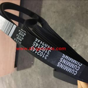 China 3103233 CUMMINS BELT FOR TEREX NHL UNIT RIG MT4400 MT3600 MT3700 3305 3303 3307 TR35A TR50 TR60 SRT55 SRT45 factory