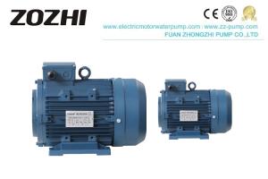 China IEC Standard 3 Phase Hydraulic Electric Motor , Three Phase Electric Motor factory