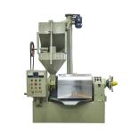 Electrical Control Coconut Sesame Cold Oil Press Machine Automatic Oil Press