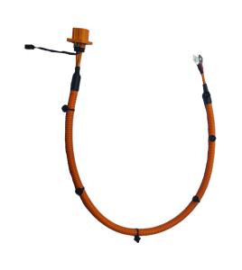 China Automotive BMS Wiring Harness with Corrosion Resistant Coating factory