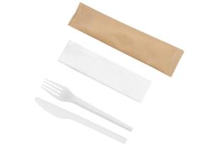 China BPI Individually Wrapped BPA Free CPLA Cutlery Set factory