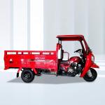 200/250/300cc Engine Open Body Type Tricycle Motorcycle Moto for Manufacturing