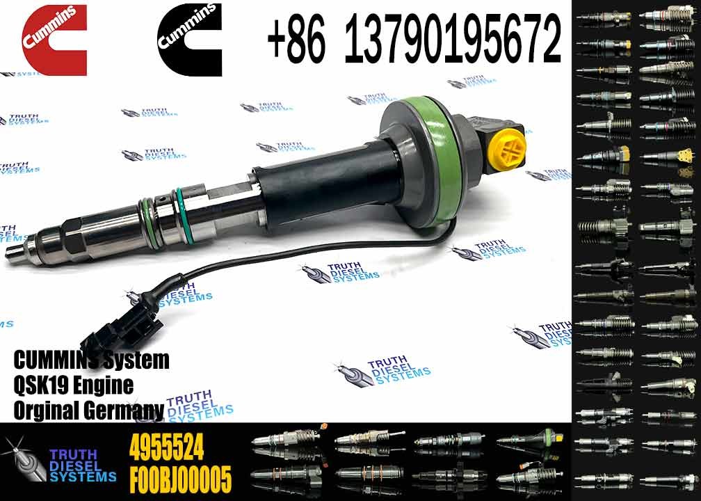 4964170 Diesel QSK19 Engine Common Rail Fuel Injector 4955524 2867149 4955527 2882079 4964173