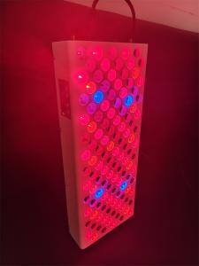 China Home Use 8 Wavelength Full Body Red Light Therapy Panel 600w factory
