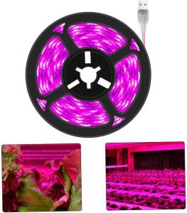 China 24v Grow Lights for Indoor Plants, Full Spectrum led Grow Light Plant Light for Indoor Plants with Red+Blue+Sunlike factory