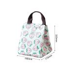 L19*D17cm Silk Printing Insulated Lunch Cooler Bags