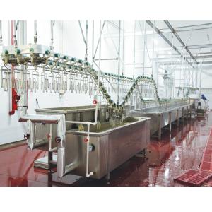 China Chicken Duck Automatic Slaughter Equipment For Poultry Slaughterhouse factory