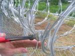 Galvanized Steel Wires Anti-Theft Cage Gill Net Against Climb Barbed Wire for