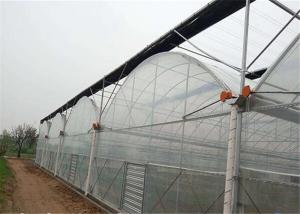China Double Layer Plastic Film Greenhouse Comprehensive Protection Designed factory