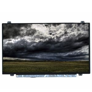 China 15.6 inch N156BGA-EA3 LCD Screen Display Assembly For HP Pavilion x360 Convertible PC 15-CR0000 factory