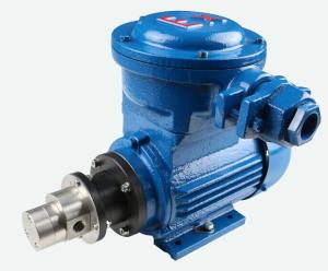China FLOWDRIFT AC Asynchronous Motor-powered Magnetic Drive Hi-Pressure Stainless Steel Gear Pump KGP-06H factory