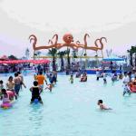 Aqua Park Equipment Octopus Commercial Spray Park Equipment With Water Spray
